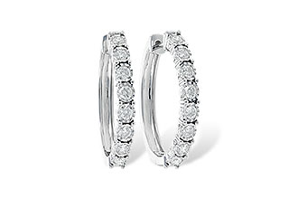 A190-66361: EARR 1.00 TW