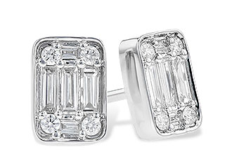 L273-38179: EARR .19 BAG .30 TW